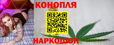 дмт Обь