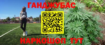 дмт Обь
